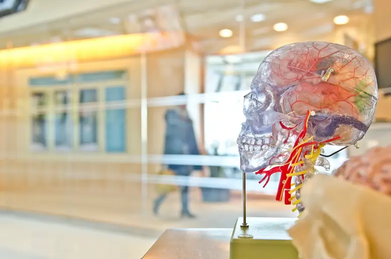 Report: Mean MCAT Score Rose to 506.1 Last Year